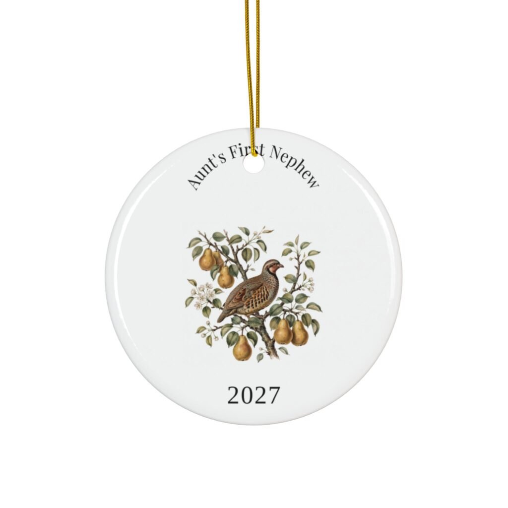 Aunt's First Nephew 2027 Ornament